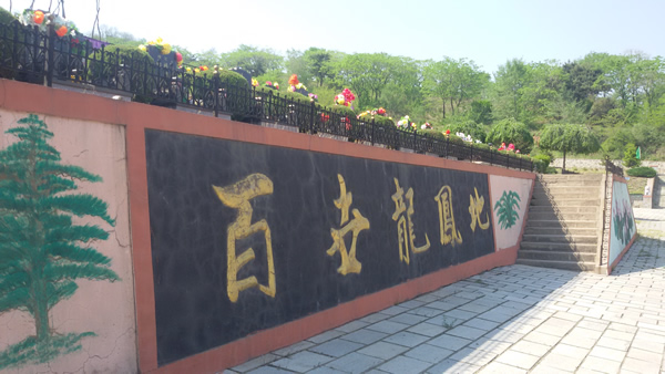2015062408133338997.jpg