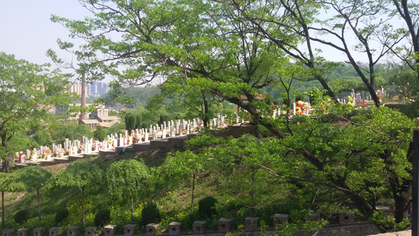 2015062408134729384.jpg