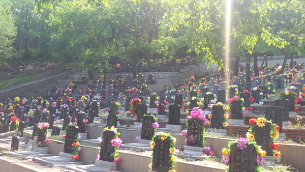 2015062408142429208.jpg